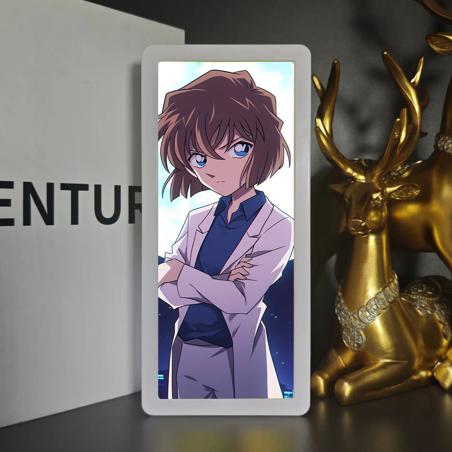 Detective Conan Light Boxes